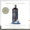 Shampoo Menta Eucalipto Fatiga Mental Chemisette 240ml