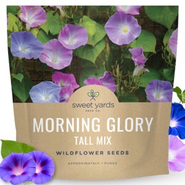 Morning Glory Tall Mix - Large 1 Ounce Packet - 750 Flower Seeds for Planting - Ipomoea purpurea