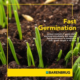 Barenbrug Wonderlawn Hardy Lawn Grass Seed for Lawns, Fast-Acting Durable Grass Seed Mix for All Weather Conditions, 3-lb. Bag