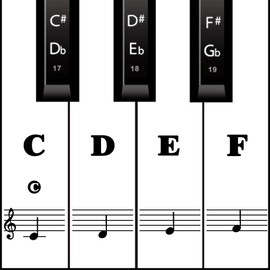 Piano Keyboard Stickers for Beginners, Reusable & Protective Piano Key Labels, Piano Note Stickers Overlay for Full Size Pianos (Black)