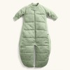 ErgoPouch Sleep Suit Bag 2.5 Tog - Willow, 2-4 Years