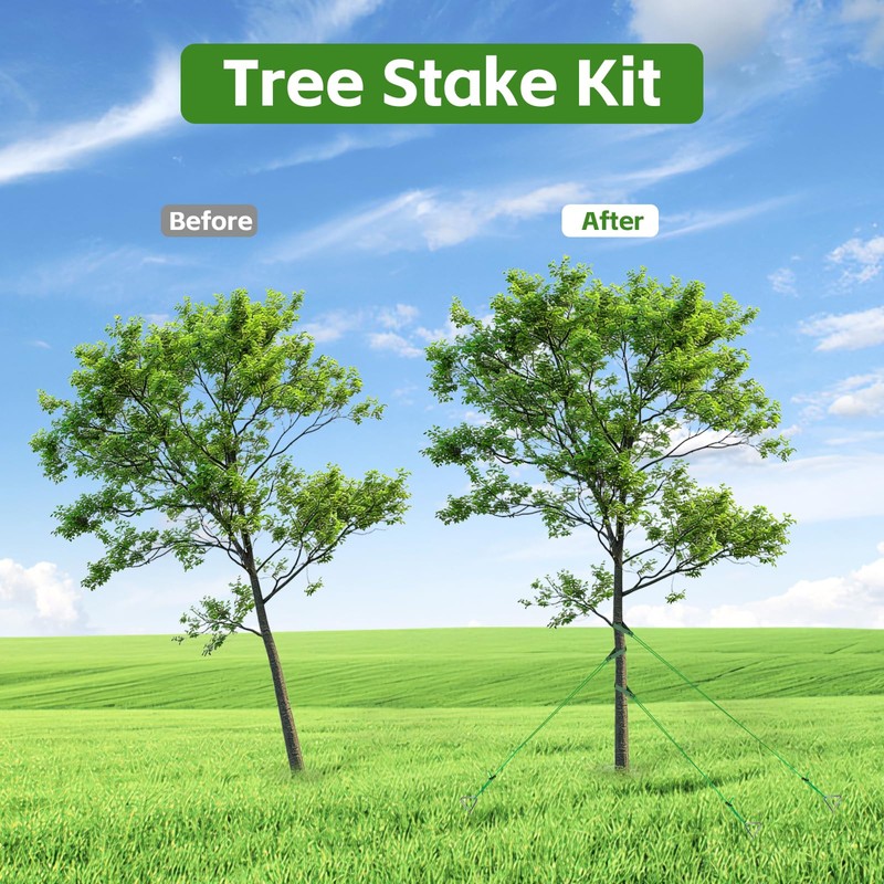 6PCS Tree Stake Kit, Heavy Duty Tree Support for Leaning