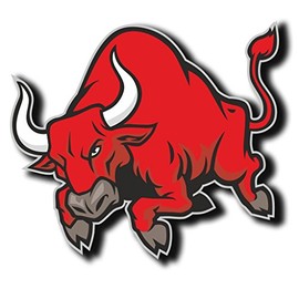 2 x 30cm/300mm Red Angry Spanish Bull Window Cling Sticker Car Van Campervan Glass #4064