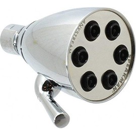 2.5 GPM, 2-3/4 Face Diameter, Shower Head with Brass Ball Joint