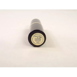 Estée Lauder Estee Lauder Pure Color Long Lasting Lipstick 26 Nectarine Shimmer Full Sz NWOB