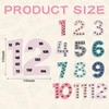 Colarr Multiplication Chart Posters for Classroom Multiple Math Posters from