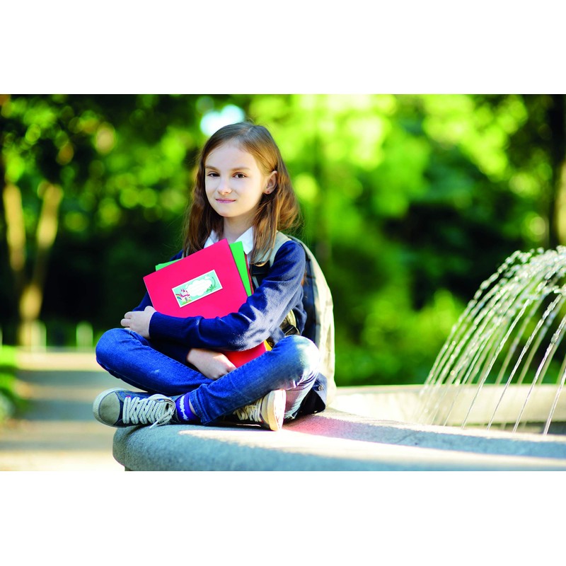 APLI 18439 – School Labels Dinosaurs 9 Units