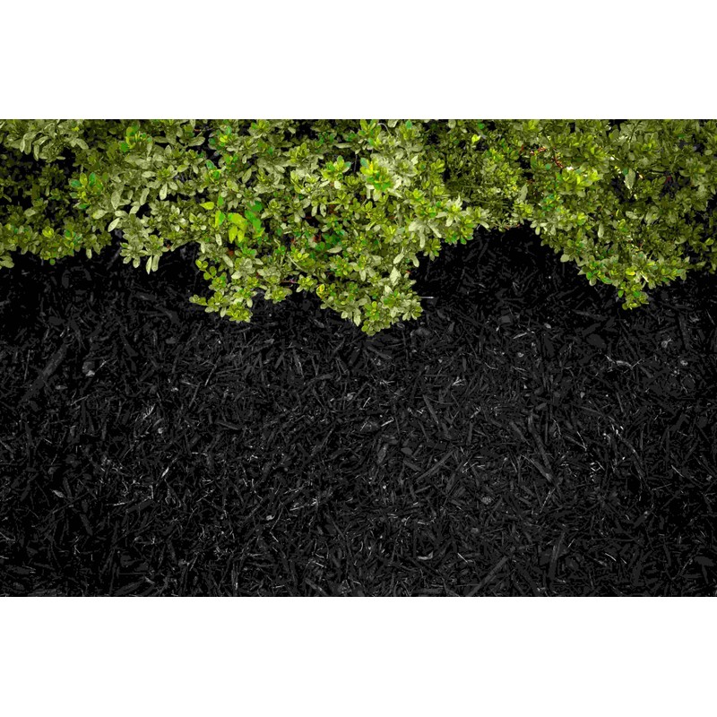 COLORBACK Black Mulch Dye, 12,800 Square Feet Coverage – Mulch