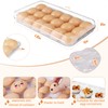 Pidea Shop Egg holder for fridge with lid - deviled