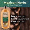 Tio Nacho Mexican Herbs Shampoo, Strengthening, Anti Hair Loss &