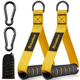 Resistance Band Handle, Heavy Duty Cable Machine Attachment, Strong Nylon Webbing, and Seamless Steel D ring For Fitness Workout Gym Pilates Yoga Crossover Tricep Exercise