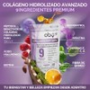 Oby Colágeno Hidrolizado Resveratrol Ácido Hialurónico Polvo 100 Porciones