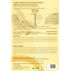 Ceyloni Organic Ceylon Cinnamon - Sticks (30g) USDA organic certified
