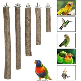 Woohome 5 PCS Perch Bird Stand Toy Natural Wood Platform Natural Wood Bird Perch Stand for Small Birds Cockatiels Lovebirds Budgie Parrot