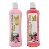 Shampoo Y Tratamiento Natural Sant Cebolla Romero Biotina