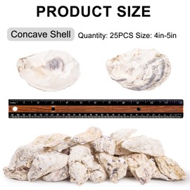 QEQEKAKA 25PCS Oyster Shells 4"-5" Concave Oyster Shells for Crafts Natural Oyster Shells Bulk, for Home Vase Filler, Xmas Ornaments, DIY Arts and Crafts Sea Shells