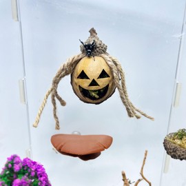 Daerky Jumping Spider Hideout, Handmade Jumping Spider Hideaway, Spider Jumping Climbing Platform, Magnetic Jumping Spider Swing, Accessory for Small Animal Enclosures (Pattern 1)