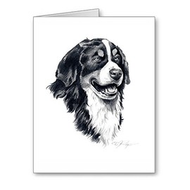 DJ Rogers Fine Art Bernese Mountain Dog - Set of 10 Dog Note Cards With Envelopes