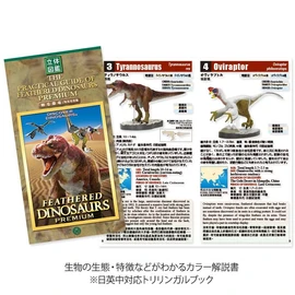 Carolata Feather Dinosaur Figure, 3D Picture Book (Dinosaurs, 7 Types, Instruction Manual and Stand), Realistic Figure Box, Toy, Educational Toy, Gift, Food Sanitation Law Clear, Christmas Gift