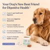 Pawfy Probiotics for Dogs | Supports Digestive Health, Diarrhea for