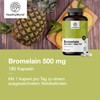 HealthyWorld® Bromelain 500 mg - 180 Capsules - 6 Month
