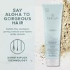 Paul Mitchell Awapuhi WildGinger Moisturizing Lather Shampoo, 250 ml