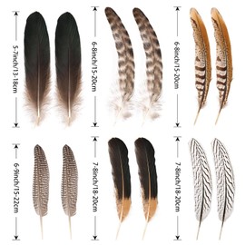 MehelloFeather Natural Pheasant Feathers 12Pcs Bulk Feathers 6 Style for DIY Crafts Clothing Home Party Jewelry Hat Wedding Decoration Feathers