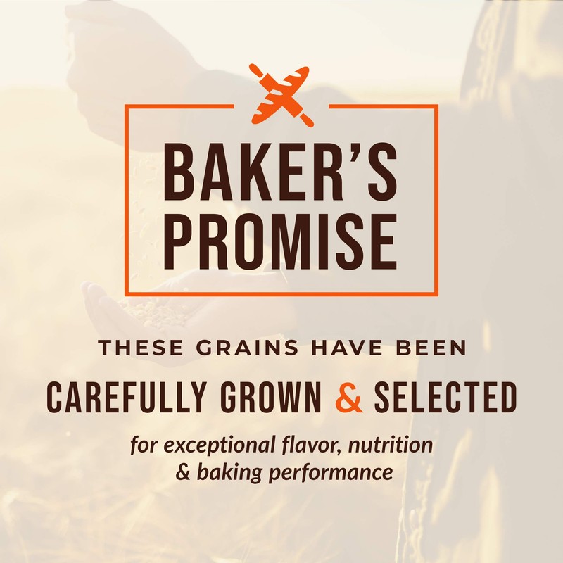 100% Organic Spelt Berries - 25 lbs