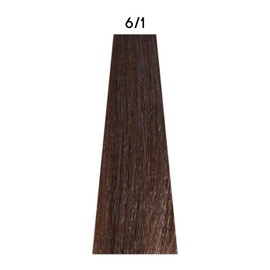 ALTEREGO Techno Fruit Colour 6/1 Dark Blonde Ash