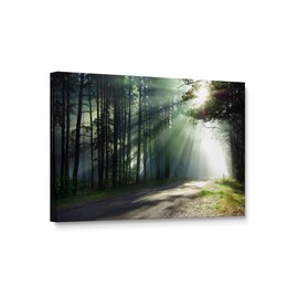 Niwo ART - Forest Morning, Trees & Forest Photography, Canvas Wall Art Home Decor, Gallery Wrapped, Stretched, Framed Ready to Hang (18"x12"x1.5")