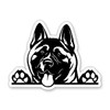 American Akita Dog Peeking Vinyl Sticker - for Water Bottle Phone Car Tumbler Laptop - Waterproof - 3"