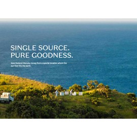 WildCape UMF Certified 10+ East Cape New Zealand Manuka Honey, 250g (8.8 oz)