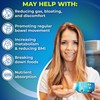 Probiotics with Digestive Enzymes and Prebiotic for Women and Men