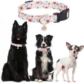 LDFAWJM Dog Collar for Small Medium Large Dogs White Floral Colored Options Soft and Fancy Pet Collars for Girl Dog Collar（White-L）