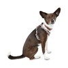 Reddy Grey Cotton Canvas Dog Harness, X-Small