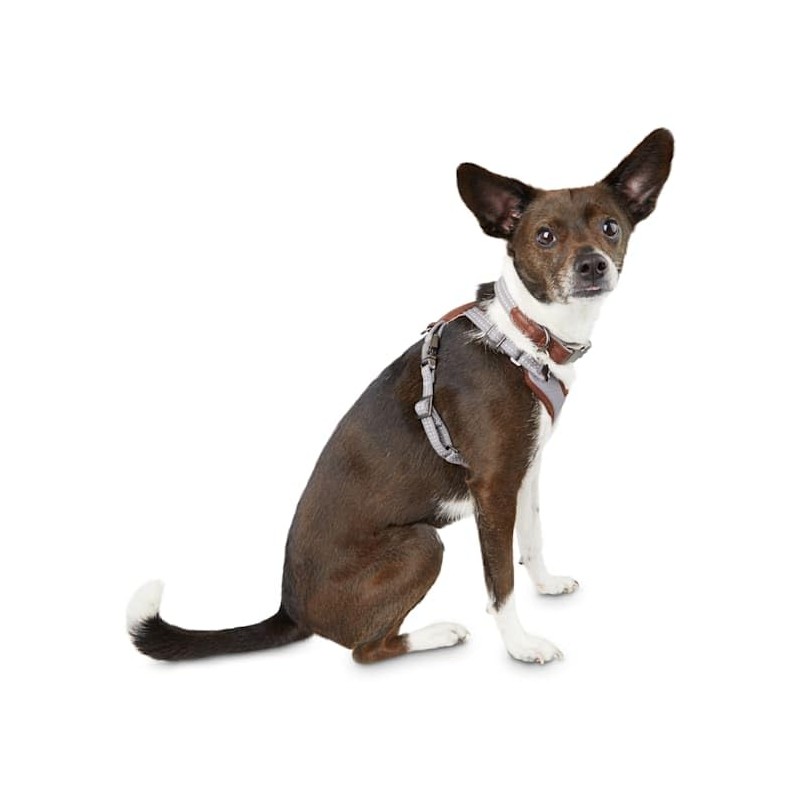 Reddy Grey Cotton Canvas Dog Harness, X-Small