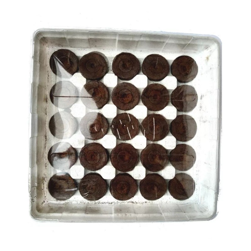 Hortaflor Invernadero Domo 25 Pellets Germinador De Semillas