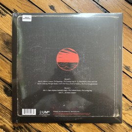 Sing The Sorrow by Afi - 2 LP Vinyl (Limited Edition) Sealed- New Vinyl