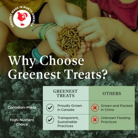 Dried Black Soldier Fly Larvae Chicken Treats for Hens, Duck, Wild Birds, Lizard, Tortoise, Fish - All Natural High Protein Dried Mealworms Alternative - Made in North America