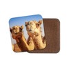 1 x Cute Smiling Camels Cork Backed Drinks Coaster -