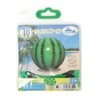 Igarashi BBR-140 Beach Ball, 15.7 inches (40 cm), Watermelon Ball