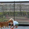 Children's Balcony Guardrail Net, Banister Guard Net for Baby, Balcony