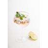YVONNE ELLEN Glass Collection, Wine, Champagne, Gin (Slogan Gin)
