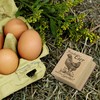 Dekolando Motif Stamp Fresh Eggs from German Sperber - Wooden