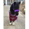 Equipride Horse Print Faux Lined Nylon Headcollars With Matching Lead