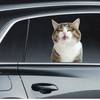 Cat Car Window Decals Funny 3D Weatherproof Decals (Cat Lick)