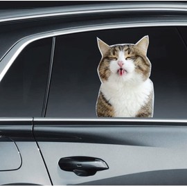 Cat Car Window Decals Funny 3D Weatherproof Decals (Cat Lick)