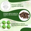 Garden Pods,DECYOOL 80pcs Hydroponic Pods Kit,Grow Anything Kit with 20