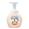 LION) Ai Kkeuthae Hand Wash Hand Wash (Peach Scent/250ml Main Product) 2ea