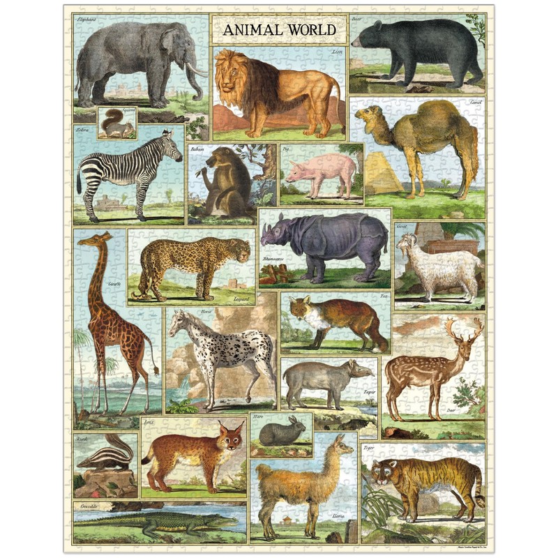 Cavallini & Co. Animal World - Rompecabezas de 1000 piezas